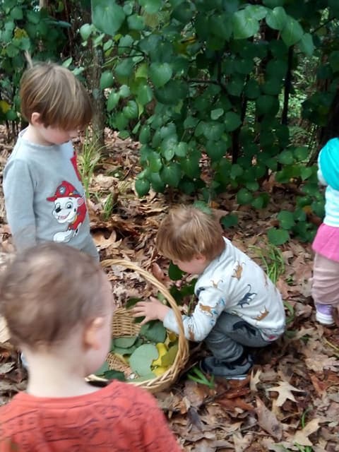 Children from Glen Eden daycare exploring nature