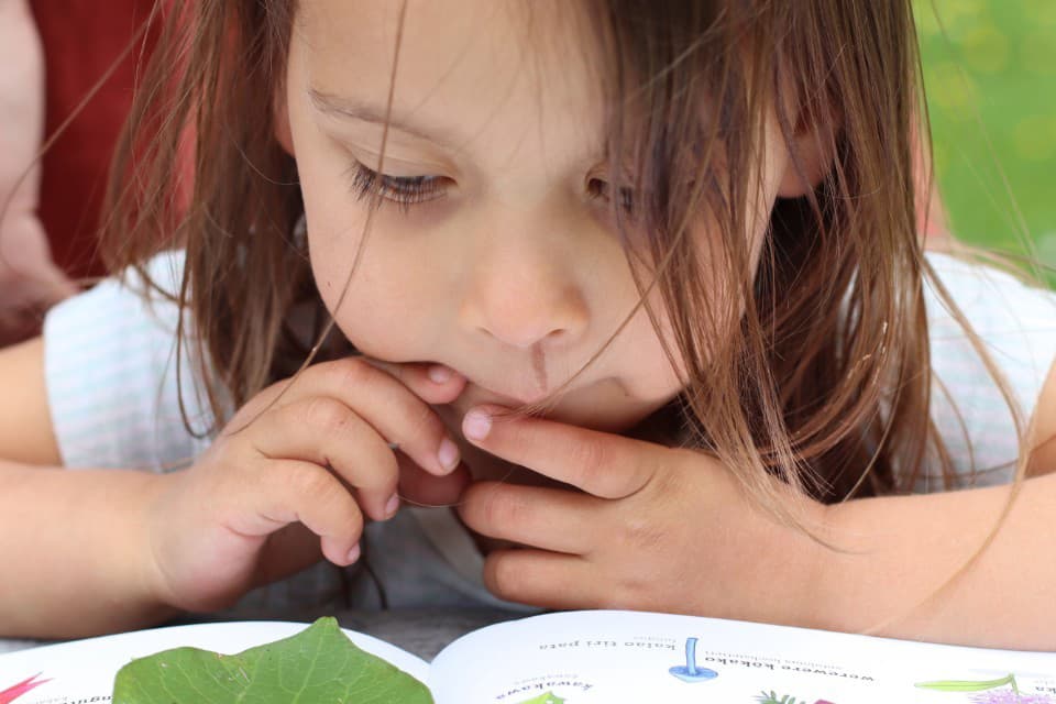 Close up of young girl reading a book about nature, exploring in the Glen Eden community