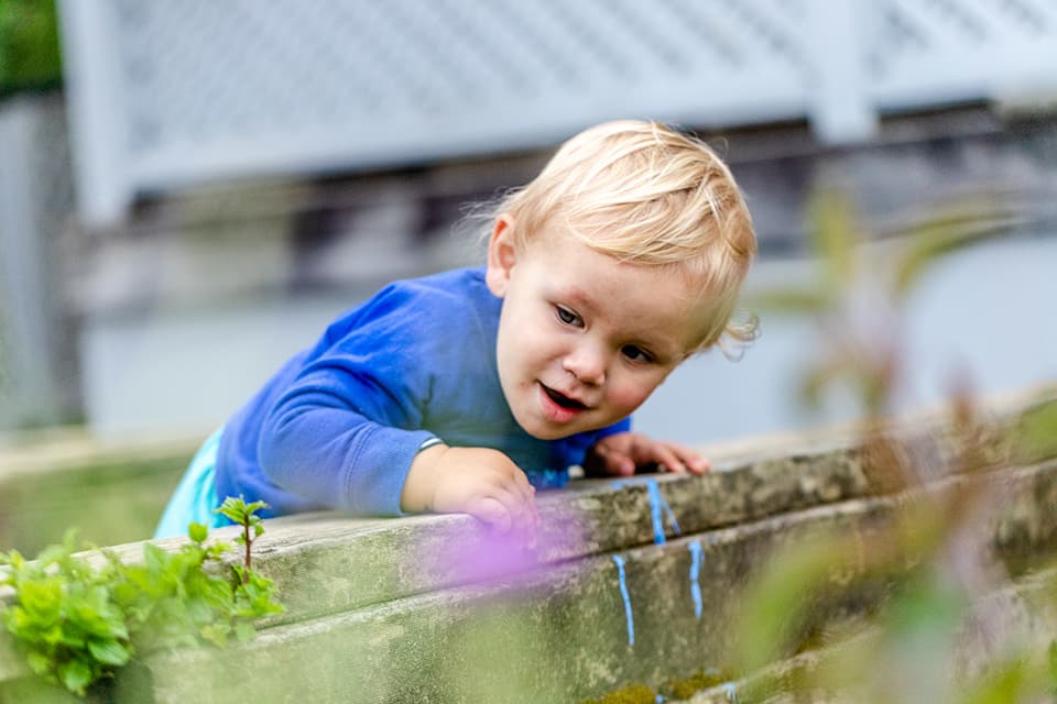 Young boy curiously looking at plants in the garden at our Glen Eden daycare centre